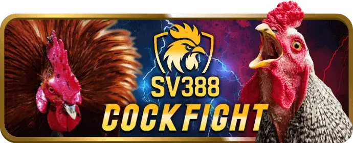 Chương trình VIP và hoàn trả